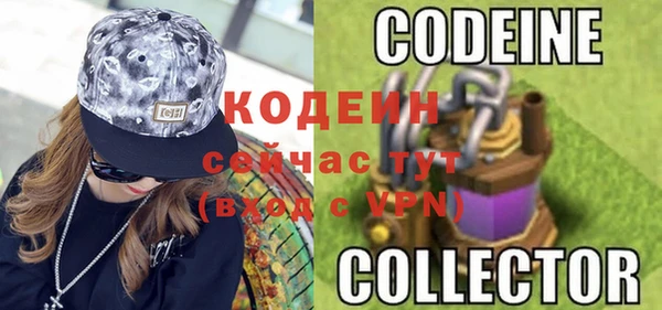 шишки Алексин