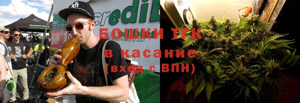 шишки Алексин